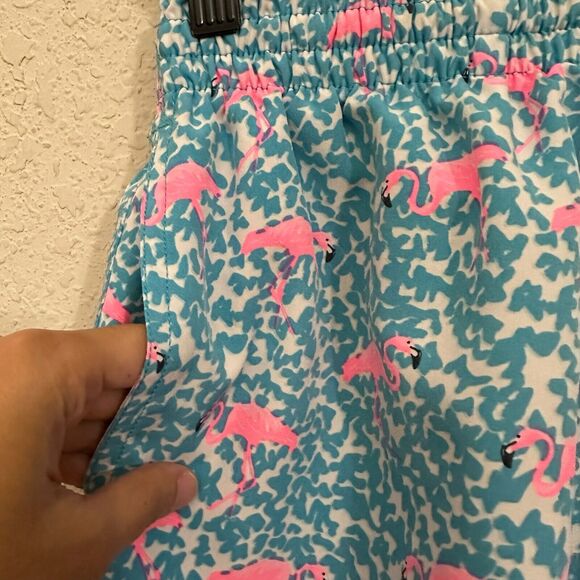 CHUBBIES The Domingos Are For Flamingos 5.5” Classic Swim Trunk Blue/Pink - Picture 4 of 10
